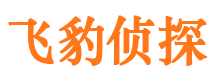 清新侦探公司